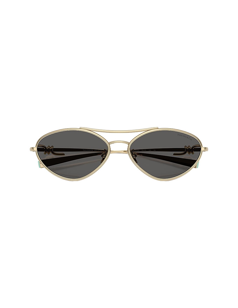 Lentes de sol Icons 0tf31176021s458 para mujer 5