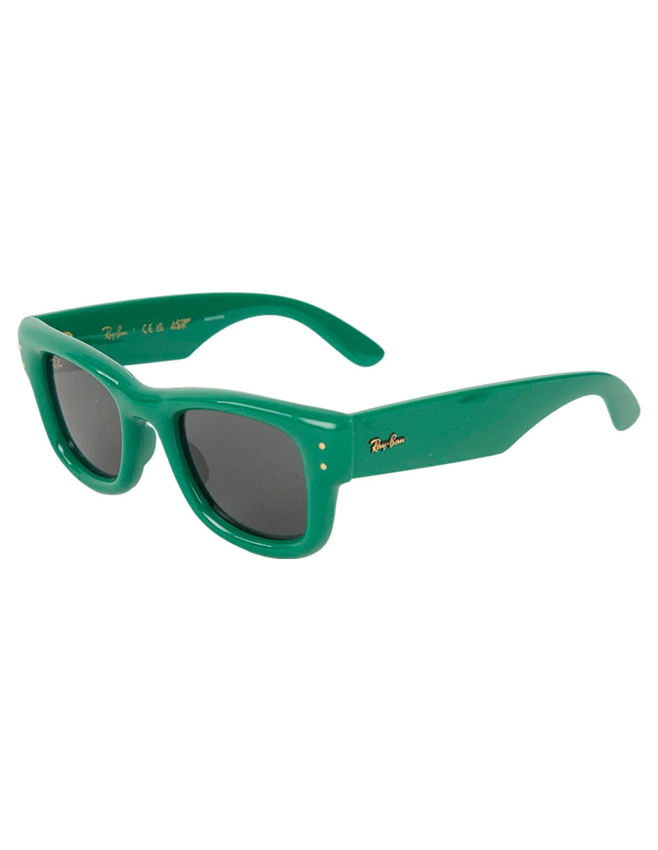 Lentes de sol Wayfarer Puffer unisex 2
