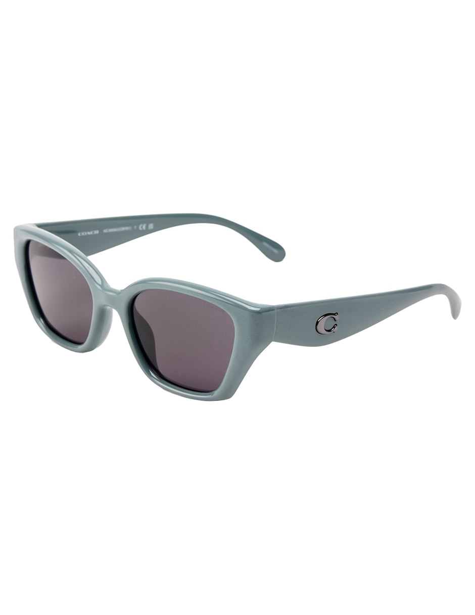 Lentes de sol HC8434U para mujer 2