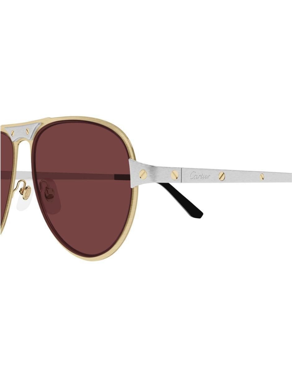 Lentes de sol Ct0533s-004 para hombre 3